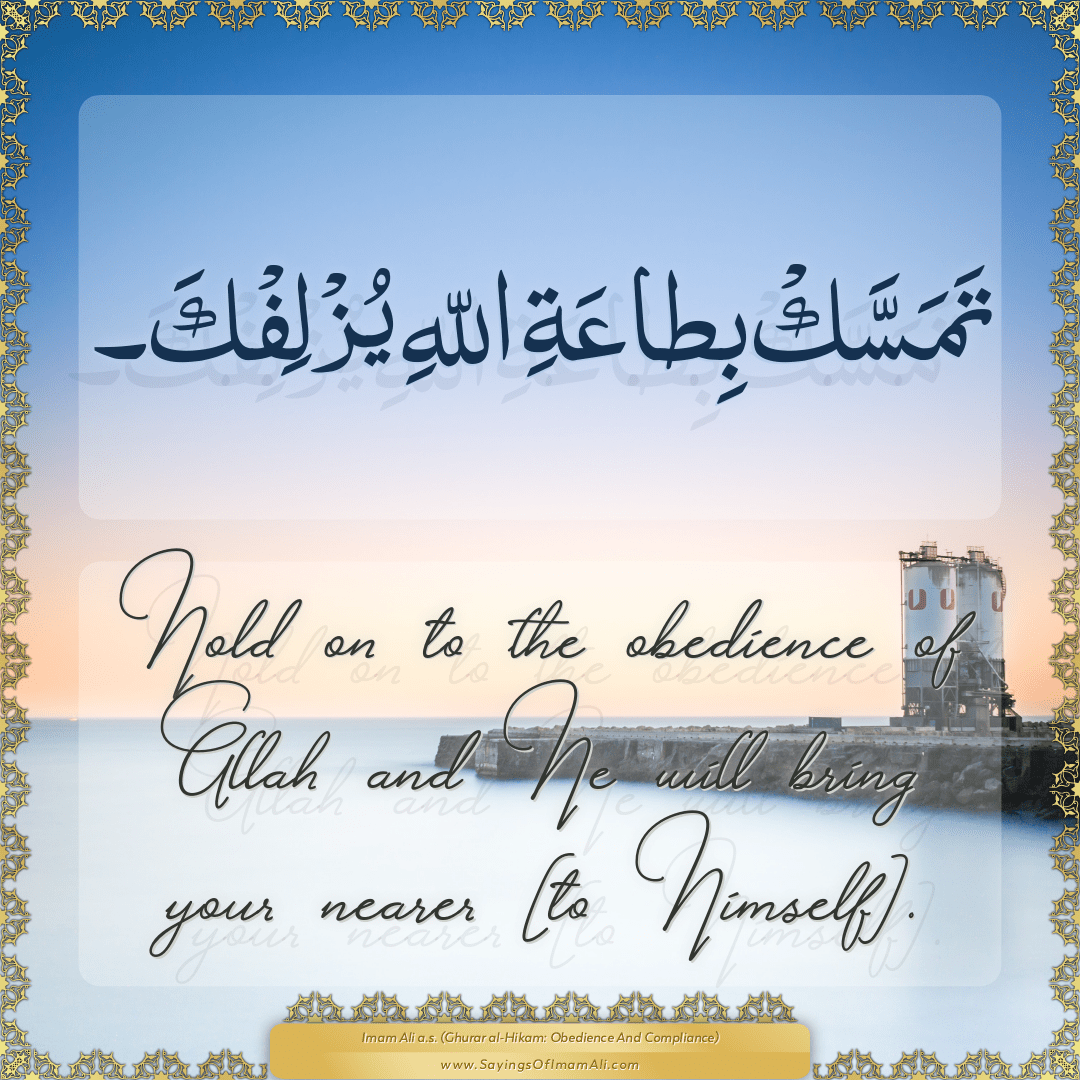 Hold on to the obedience of Allah and He will bring your nearer [to...